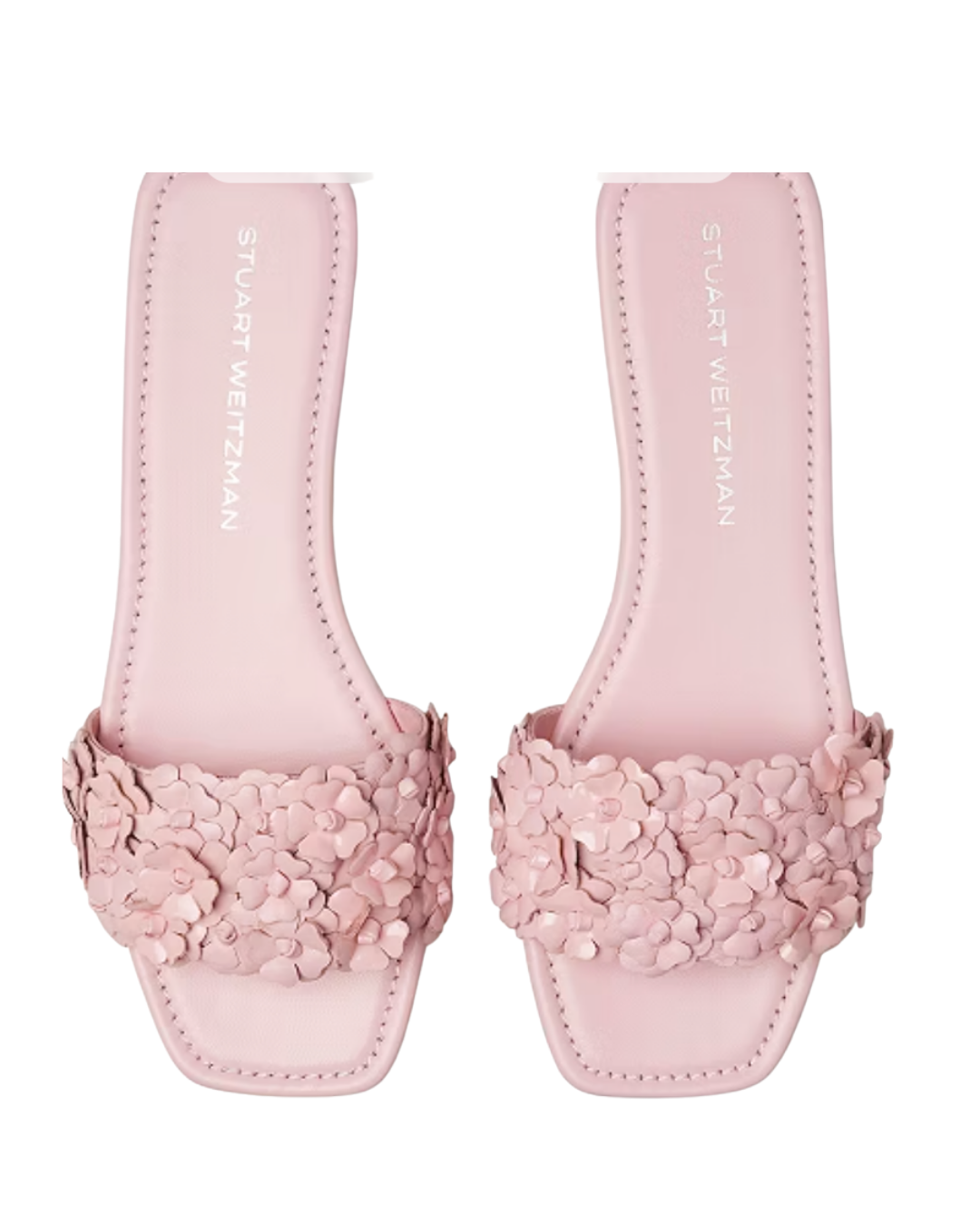 auburnuniversity, auburn, auburnuniversityrecruitment, auburnrecruitment, auburnuniversityrush, auburnrush, auburnrushoutfits, auburnsororityrecruitment, auburnuniversitysororityrecruitment, sororityrush, sororityrushprep, sororityrushcoach, sororityrushconsultant, rushconsultant, sororityrecruitmentconsultant, sororityrecruitmentcoaching, sororityrecruitmentcoach, gogreek, getreadyforrecruitment, sororityrecruitment